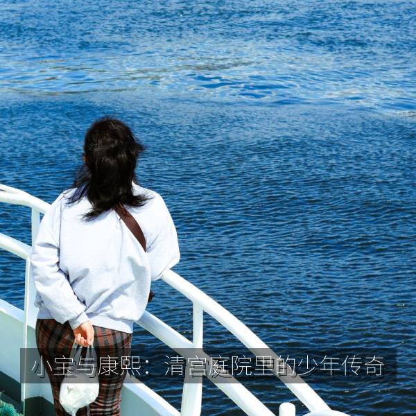 小宝与康熙：清宫庭院里的少年传奇