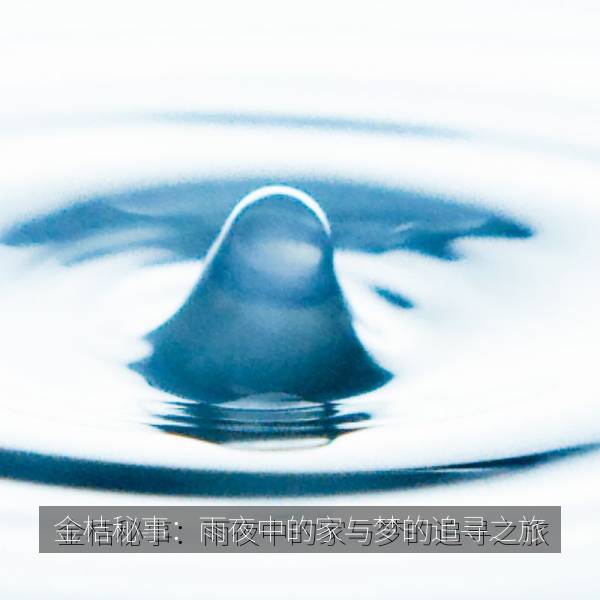 金桔秘事：雨夜中的家与梦的追寻之旅 海报