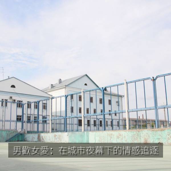 男歡女愛：在城市夜幕下的情感追逐 海报