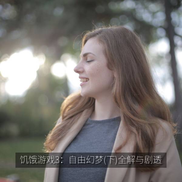 饥饿游戏3：自由幻梦(下)全解与剧透 海报